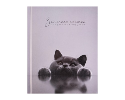 Записная книжка с алфавитной вырубкой 80л. "Британский кот" 120x150 мм, твёрдый переплёт 7БЦ