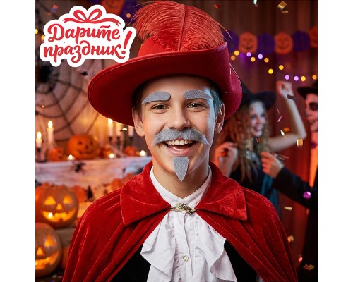 Карнавальный набор "Усы, бородка и брови" цвет серый