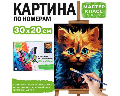 Картина по номерам "Лохматый котенок" 30*20 см.