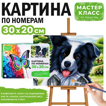 Картина по номерам "Бордер-колли" 30*20  см.