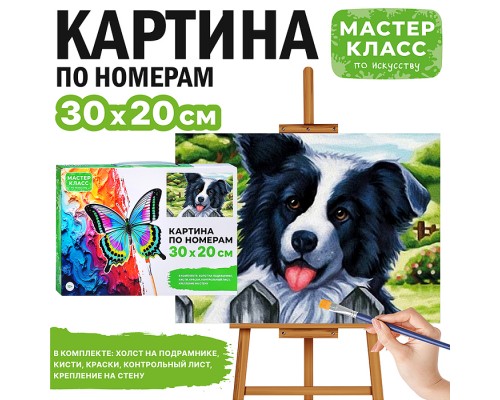 Картина по номерам "Бордер-колли" 30*20  см.