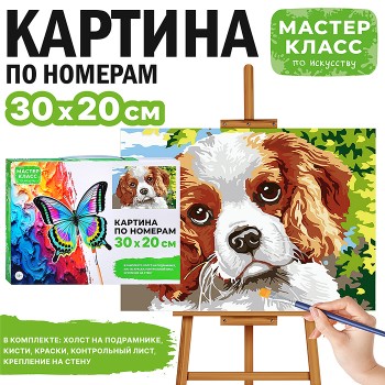 Картина по номерам "Спаниель" 30*20  см.