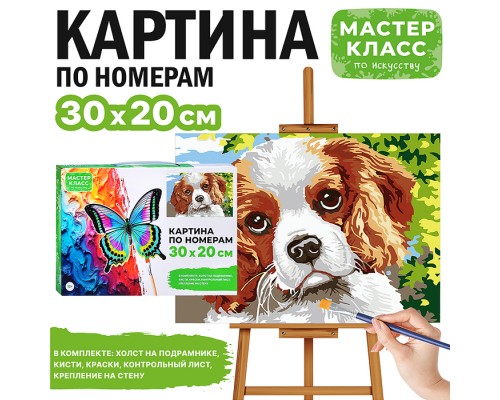 Картина по номерам "Спаниель" 30*20  см.