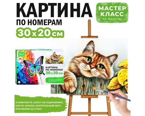 Картина по номерам "Рыжая кошечка" 30*20 см.