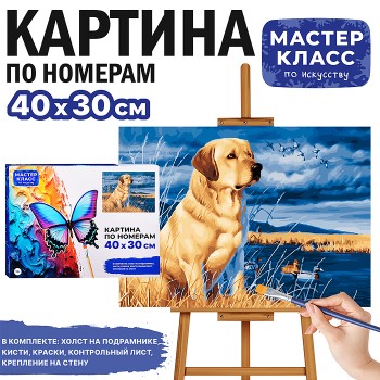 Картина по номерам "Золотистый ретривер" 40*30 см.