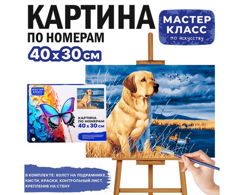 Картина по номерам "Золотистый ретривер" 40*30 см.