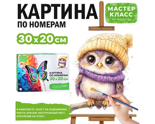 Картина по номерам "Сова в шарфе и шапке" 30*20 см.