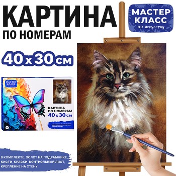 Картина по номерам "Сибираская кошка" 40*30 см.