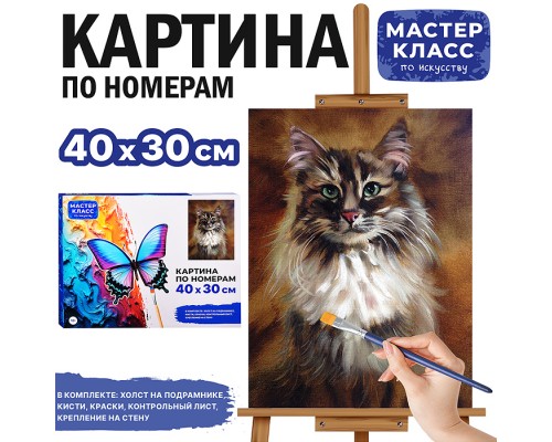 Картина по номерам "Сибираская кошка" 40*30 см.