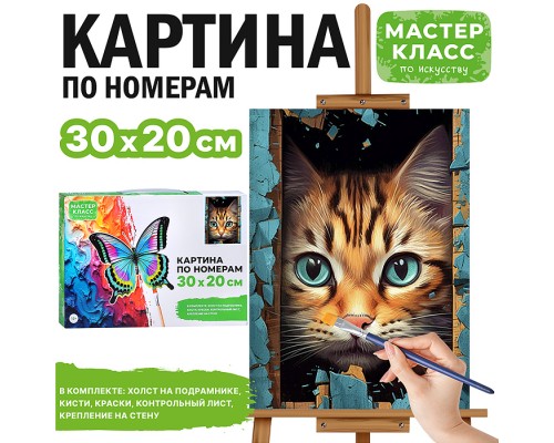 Картина по номерам "Милый котик" 30*20 см.