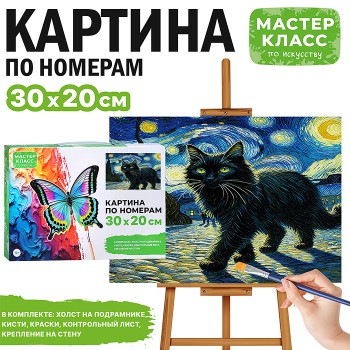 Картина по номерам "Кот звездной ночью" 30*20 см.