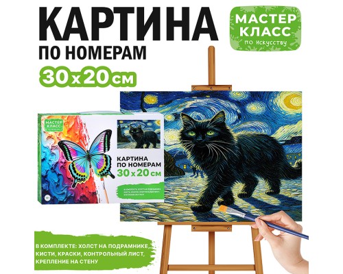 Картина по номерам "Кот звездной ночью" 30*20 см.