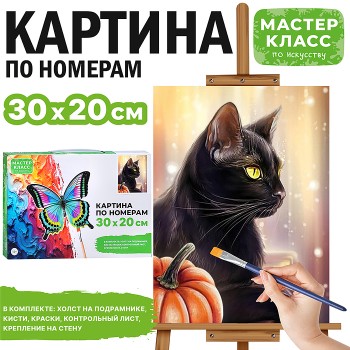 Картина по номерам "Черный кот" 30*20  см.