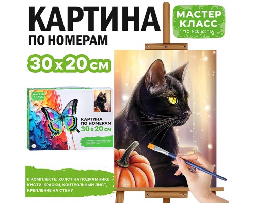 Картина по номерам "Черный кот" 30*20  см.