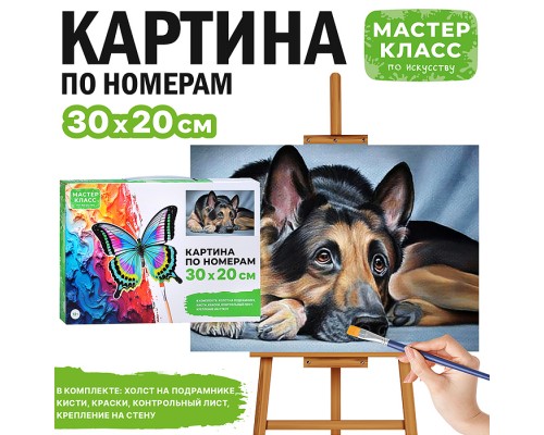 Картина по номерам "Задумчивая овчарка" 30*20 см.