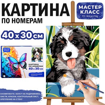 Картина по номерам "Бернский зенненхунд." 40*30 см.