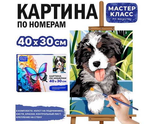 Картина по номерам "Бернский зенненхунд." 40*30 см.