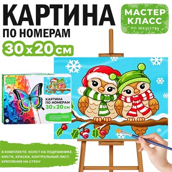 Картина по номерам "Совушки зимой" 30*20 см.