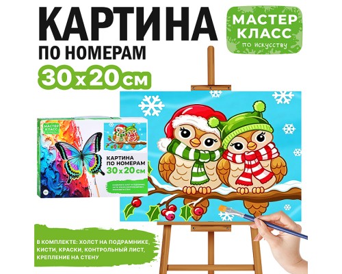 Картина по номерам "Совушки зимой" 30*20 см.