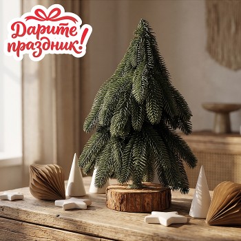 Ель декоративная "Таёжная", 30 см