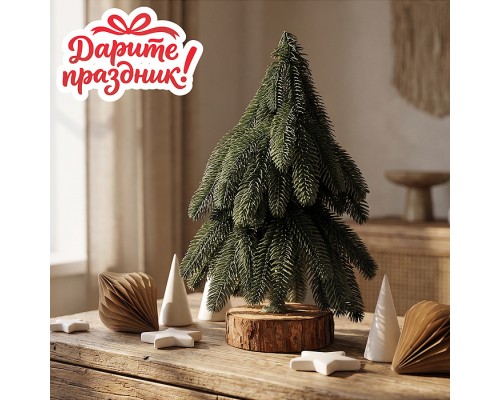 Ель декоративная "Таёжная", 30 см