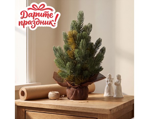 Ель декоративная &laquo;Флорида&raquo; 38 см