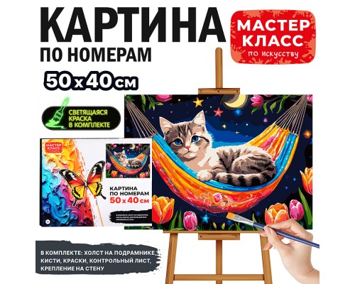 Картина по номерам "Кот в гамаке" 50*40 см