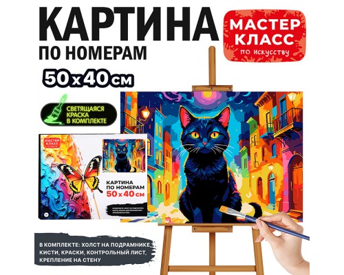 Картина по номерам "Чёрный кот" 50*40 см