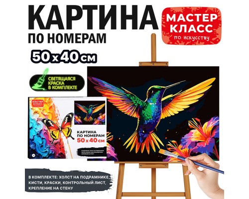 Картина по номерам "Колибри" 50*40 см