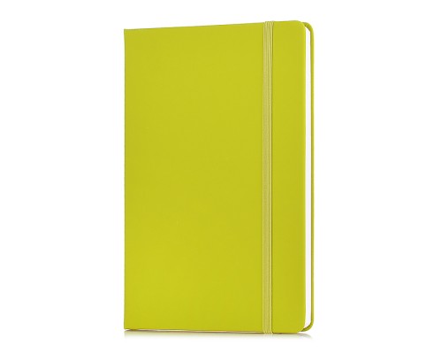 Записная книжка A5 (140 ммx205 мм) 160 стр, кремовая бумага 70 г/м&sup2; в клетку, печать в 1 краску, твердая обложка из искусственной кожи с покрытием Soft Touch, вертикальная резинка, закругленные уголки, 1 ляссе, в термоусадочной пленке, салатовая
