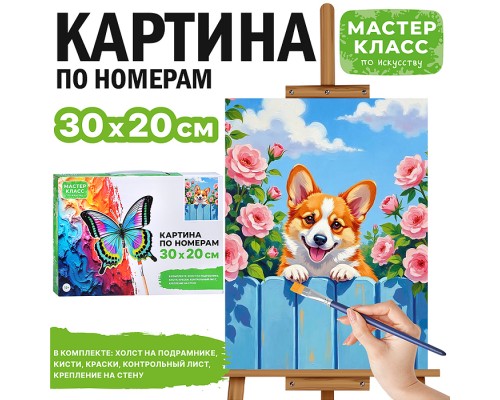 Картина по номерам "Корги" 30х20 см.