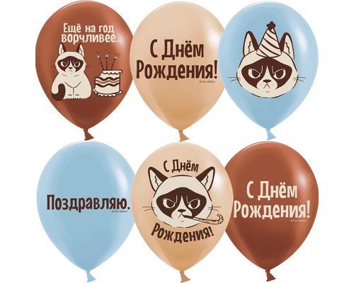Шар (12''/30 см) С Днем Рождения! (сердитая кошка), Ассорти, пастель, 2 ст, 25 шт.