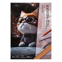 Папка для черчения "Кот инженер" А4, 20л., папка с клапанами, полноцветная односторонняя печать