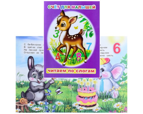Книга.Читаем по слогам. Мел. Счет для малышей 6+