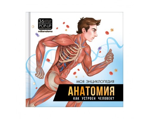 Моя энциклопедия. Анатомия. Как устроен человек?