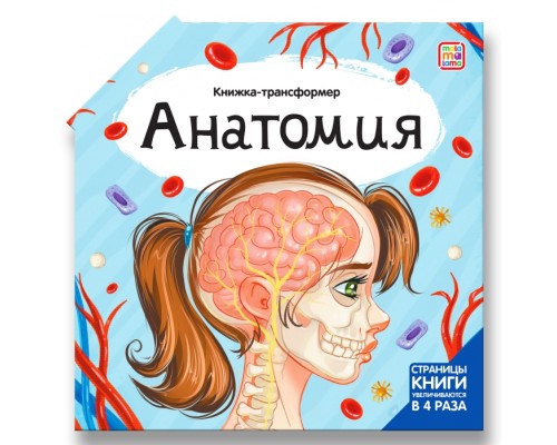 Книжка-трансформер. Анатомия