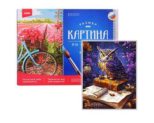 Картина по номерам холст на подрамнике 40*50см "Мудрая сова"