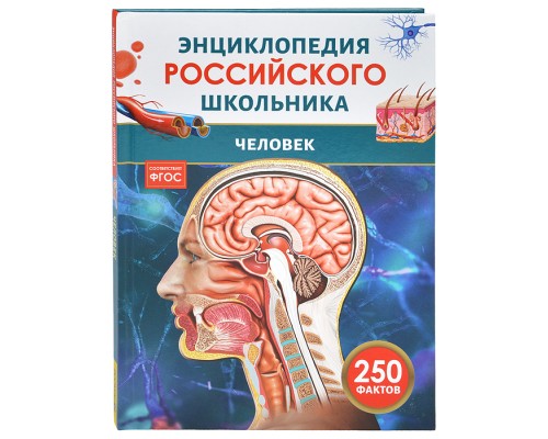 Человек. Энциклопедия российского школьника