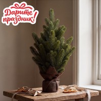 Ель декоративная "Мэджик" 40 см